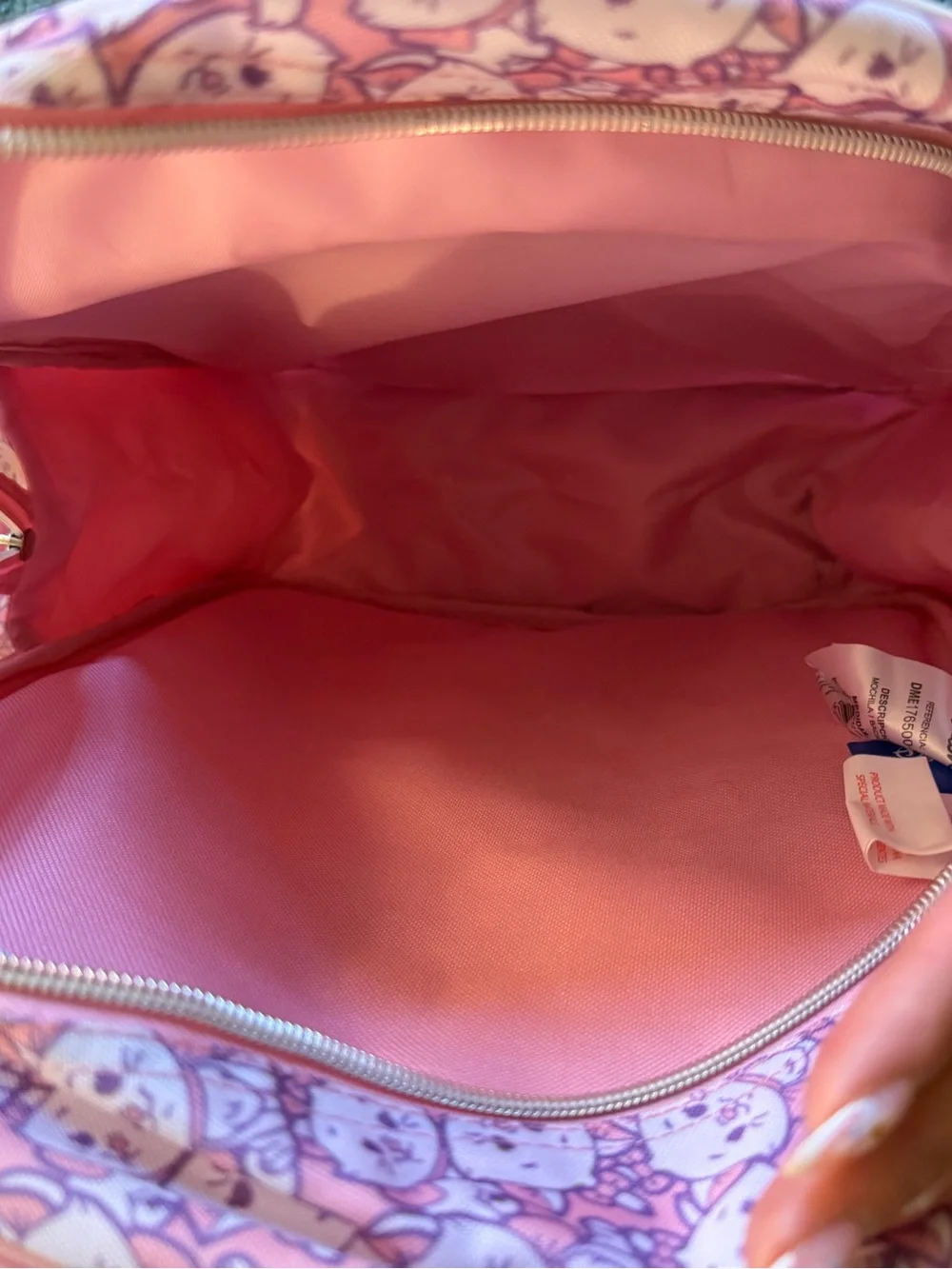 Disney Pink Cat Backpack and Lunch Bag Set